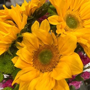 Meet your Posher, G. jeanene